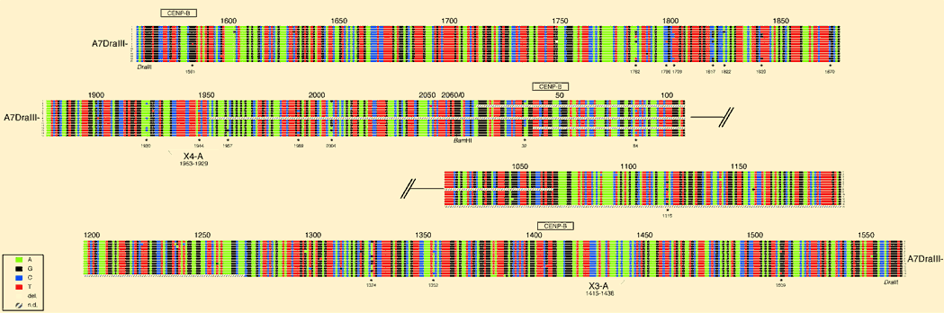 Supplementary Figure 2