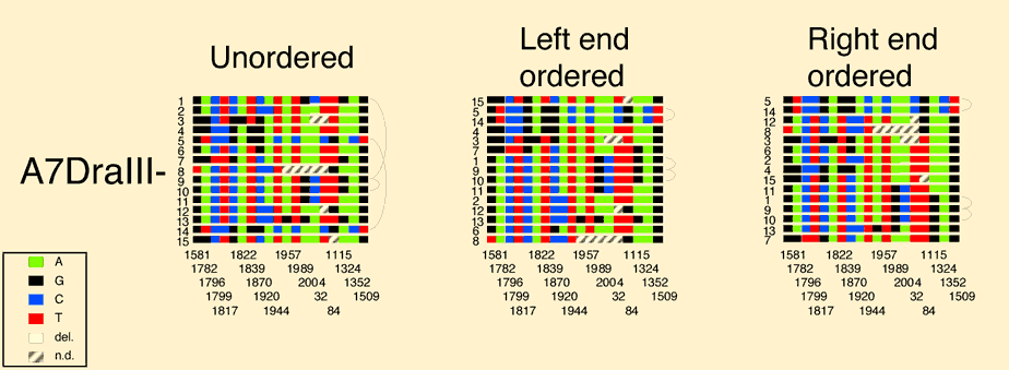 Supplementary Figure 3