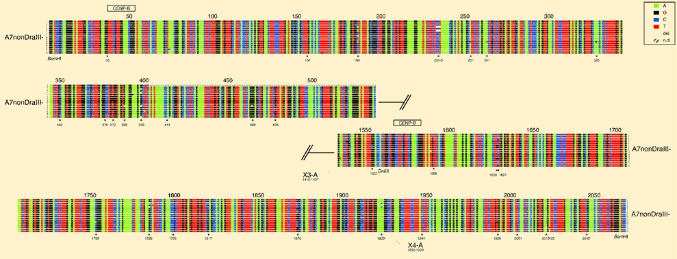 Supplementary Figure 4