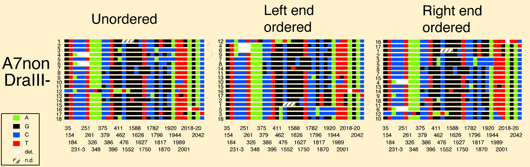 Supllementary Figure 5